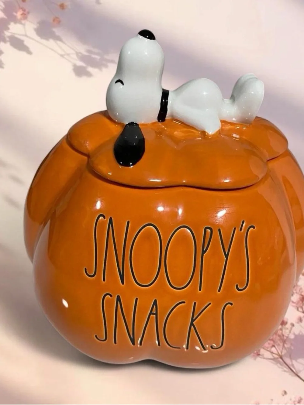 Rae Dunn Orange Peanuts x Rae Dunn Ceramic cookie jar